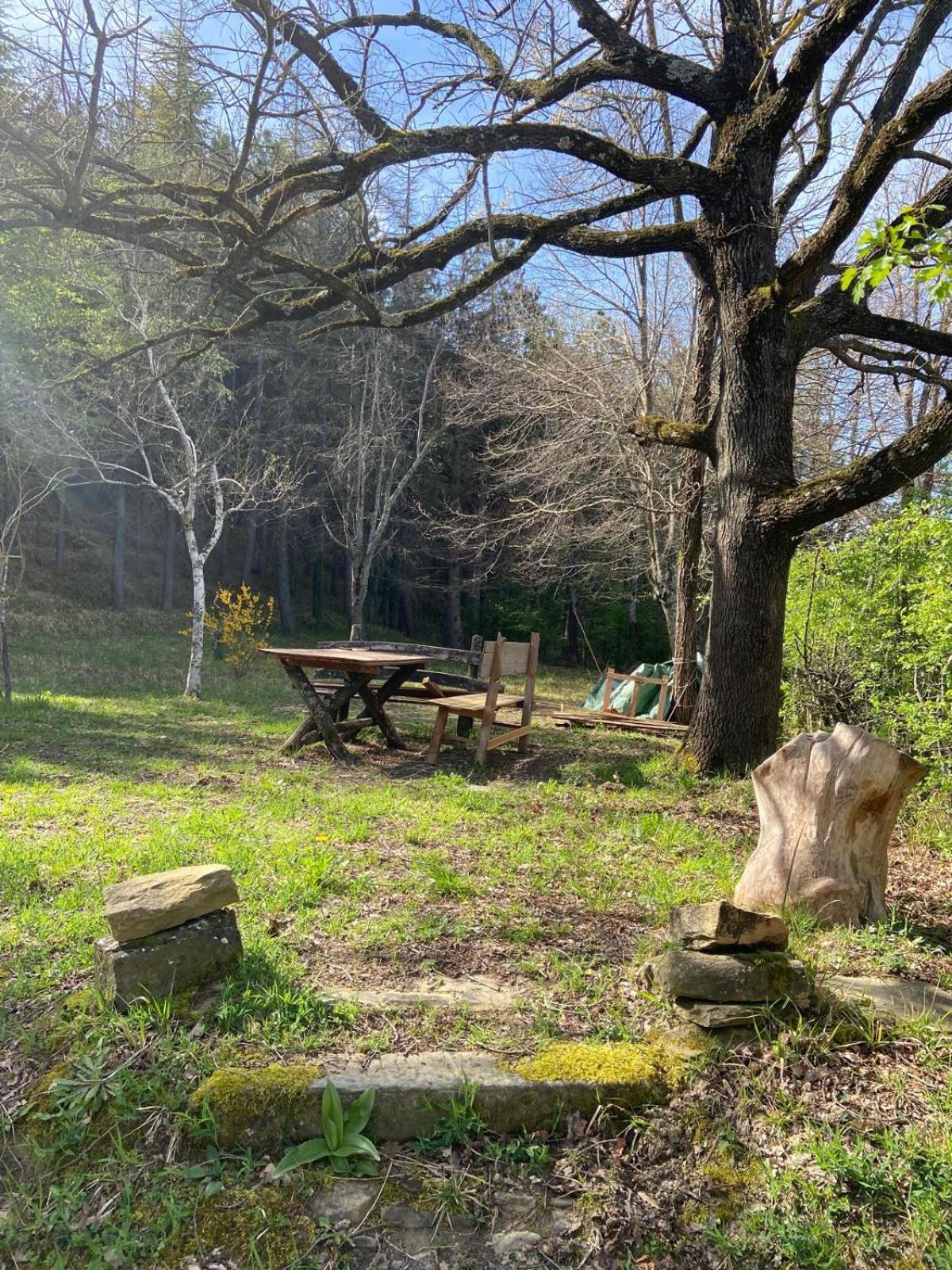 Stanza Nel Bosco Alla Canova Di Biforco Rocca San Casciano Eksteriør bilde